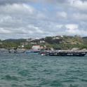 IMG_0015 (2)